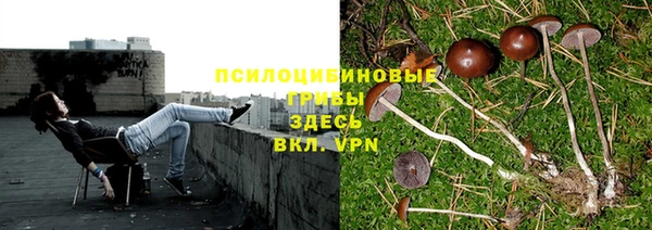 apvp Армянск