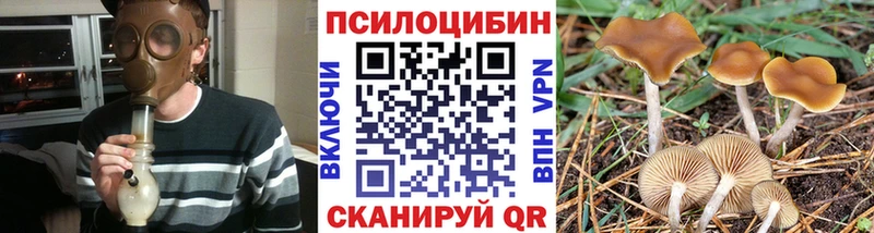 Галлюциногенные грибы Psilocybine cubensis  Салехард 